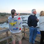 Cambria_0231 (November 05, 2011)